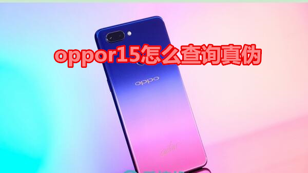 oppor15怎么查询真伪