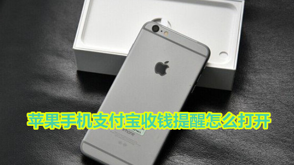 苹果手机支付宝收钱提醒怎么打开