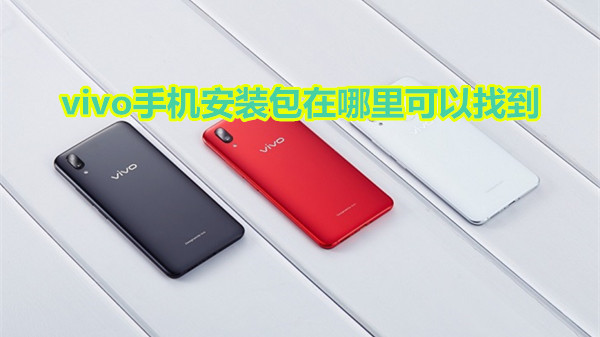 vivo手机安装包在哪里设置