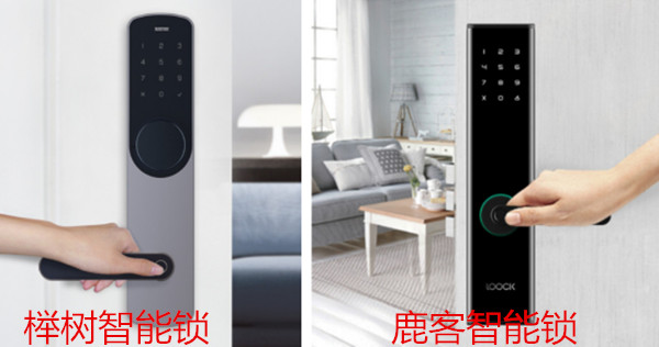 榉树智能锁和鹿客哪个好