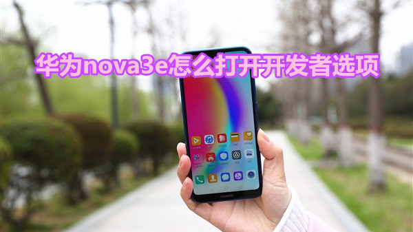 华为nova3e怎么打开开发者选项