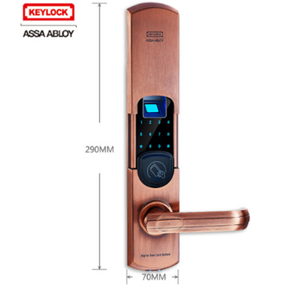 第吉尔6600-92A指纹锁图片