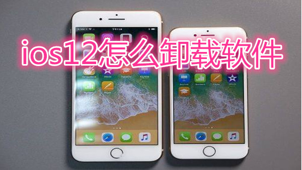 ios12怎么卸载软件
