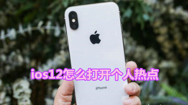 ios12怎么打开个人热点