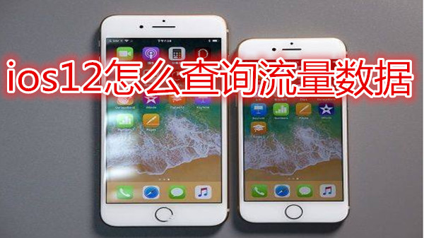 ios12怎么查询流量数据