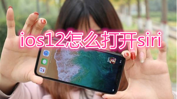 ios12怎么打开siri