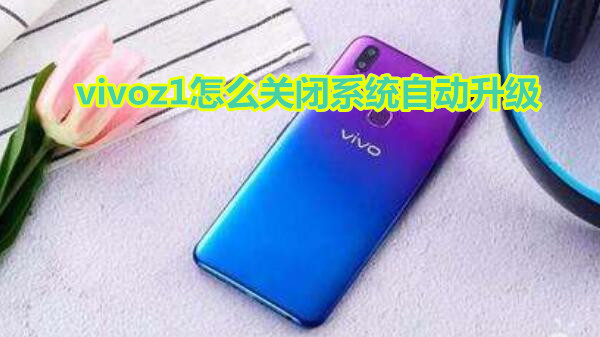vivoz1怎么关闭系统自动升级