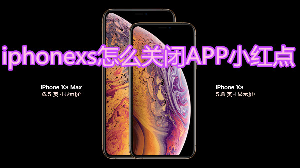 iphonexs怎么关闭APP小红点