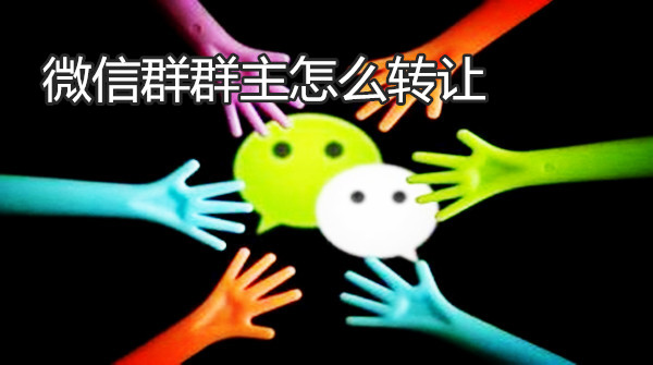 微信群群主怎么转让
