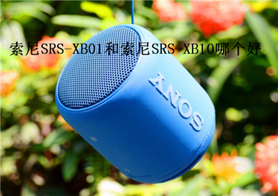 索尼SRS-XB01和索尼SRS-XB10哪个好