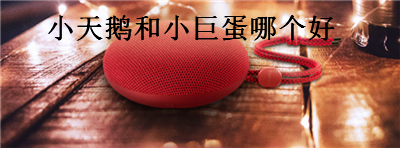 荣耀小巨蛋和荣耀小天鹅哪个好