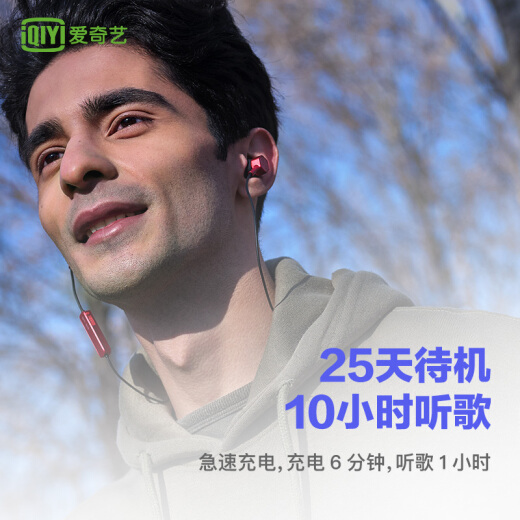 爱奇艺Verb智能无线耳机图片
