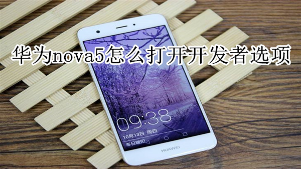 华为nova5怎么打开开发者选项