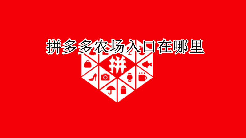 拼多多农场入口在哪里