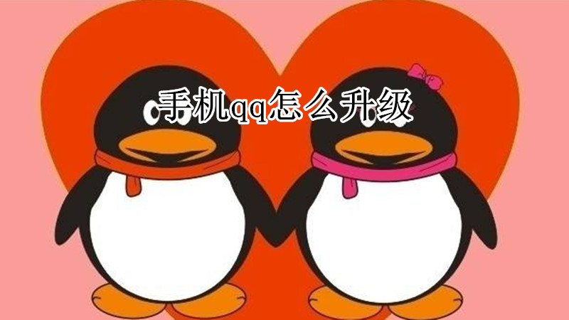 手机qq怎么升级