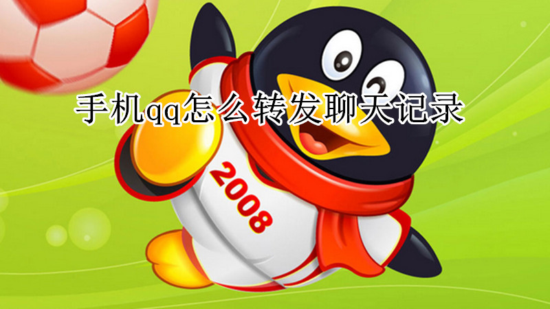 手机qq怎么转发聊天记录