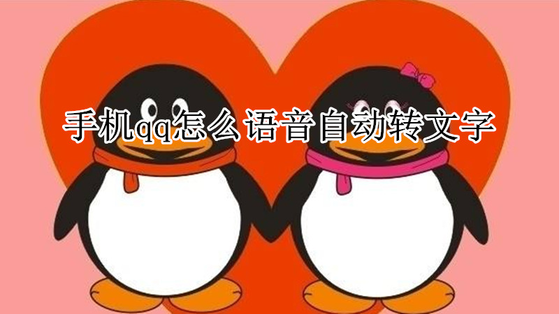 手机qq怎么语音自动转文字