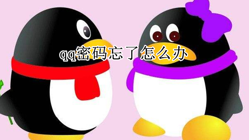 qq密码忘了怎么办