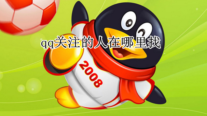 qq关注的人在哪里找