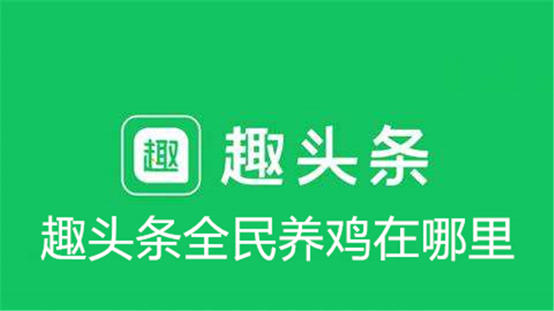 趣头条全民养鸡在哪里