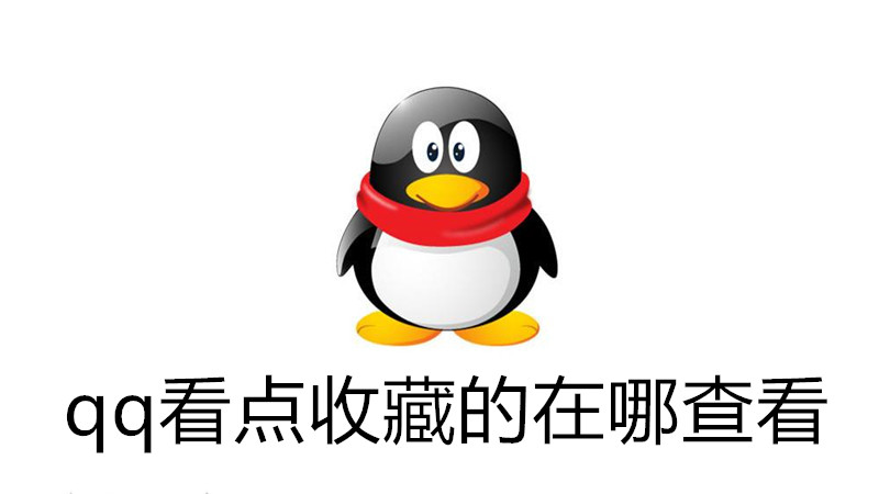 qq看点收藏的在哪查看
