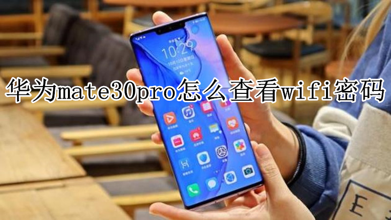 华为mate30pro怎么查看wifi密码