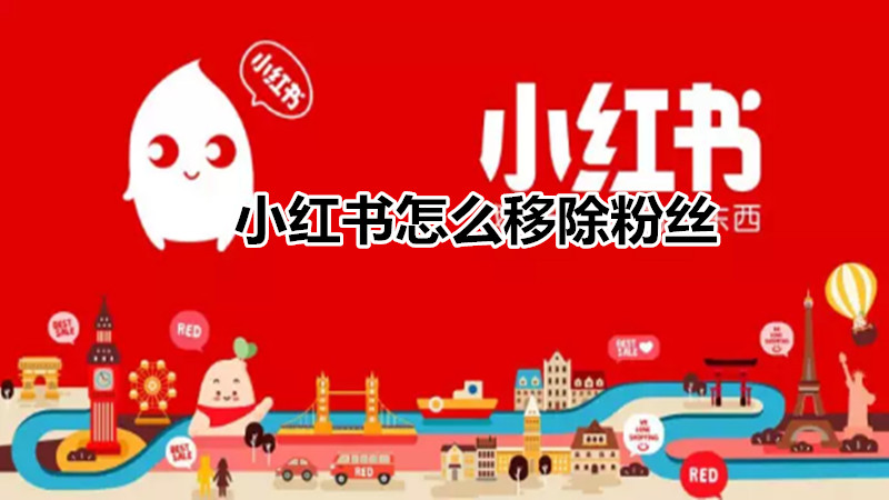 小红书怎么移除粉丝