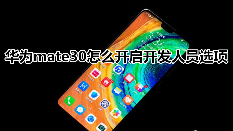 华为mate30怎么开启开发人员选项