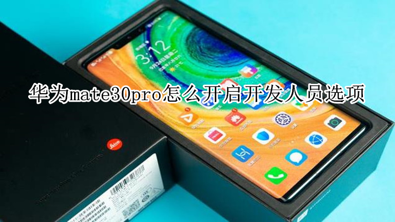 华为mate30pro怎么开启开发人员选项