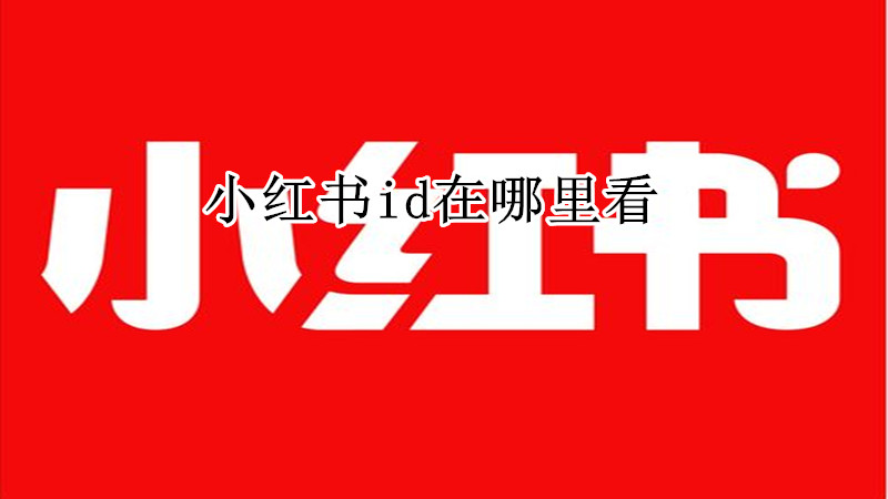 小红书id在哪里看