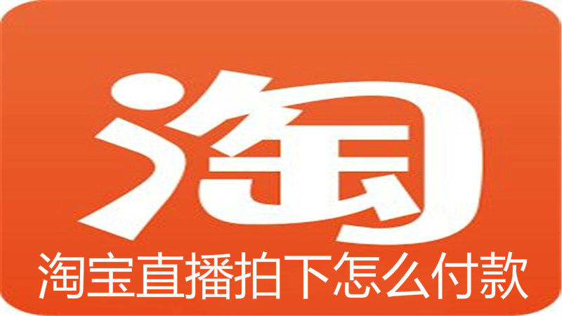 淘宝直播拍下怎么付款