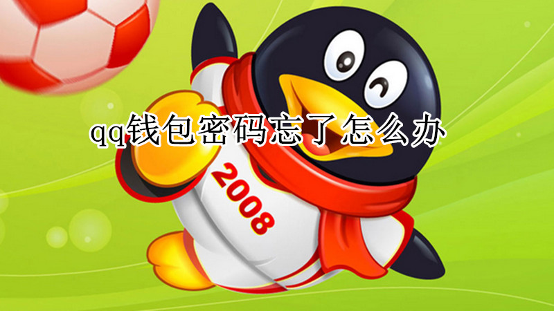 qq钱包密码忘了怎么办