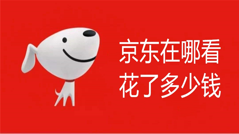 京东在哪看花了多少钱