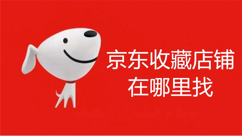 京东收藏店铺在哪里找