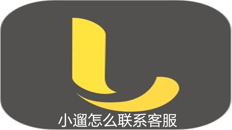 小遛怎么联系客服