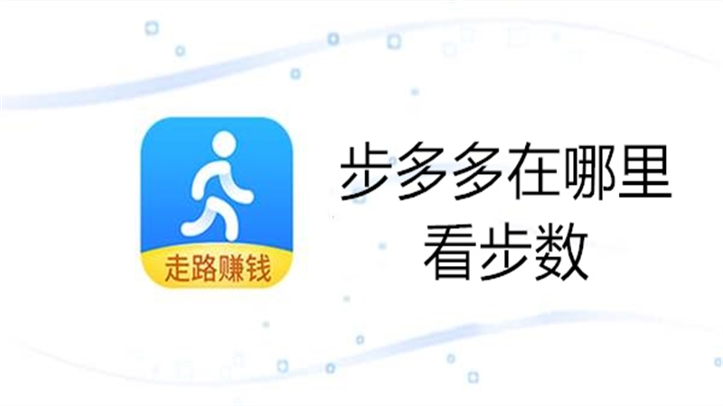 步多多在哪里看步数