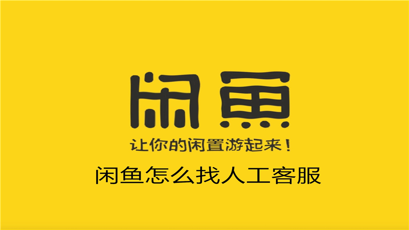闲鱼怎么找人工客服
