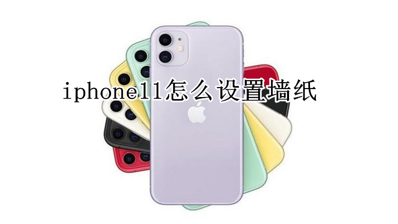 iphone11怎么设置墙纸