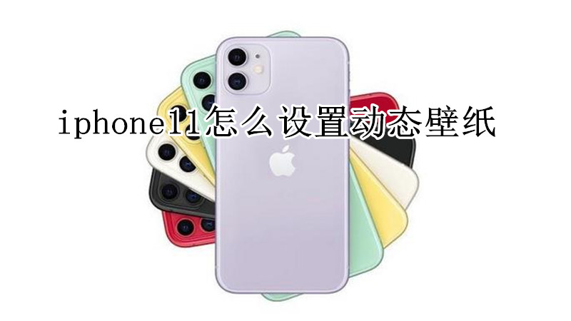iphone11怎么设置动态壁纸