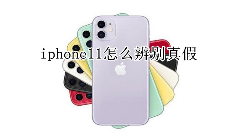 iphone11怎么辨别真假
