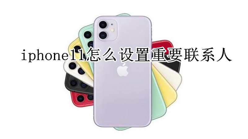 iphone11怎么设置重要联系人