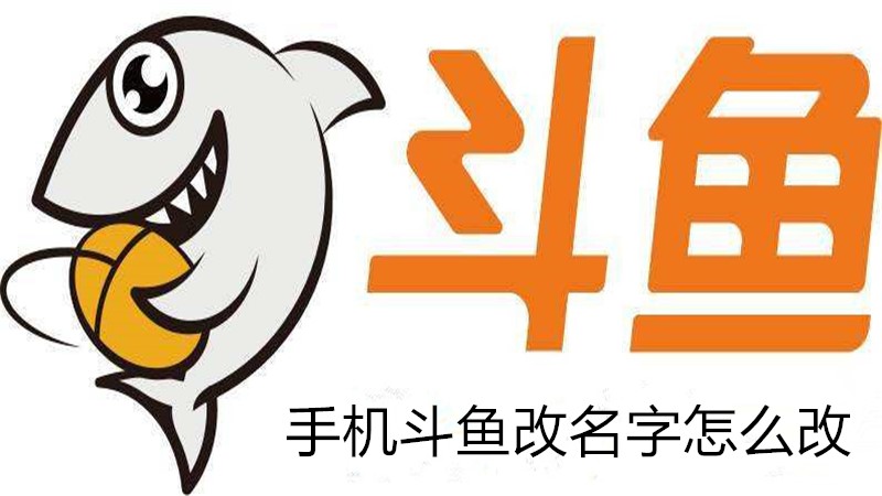 手机斗鱼改名字怎么改