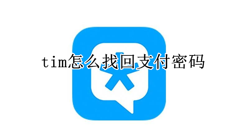 tim怎么找回支付密码