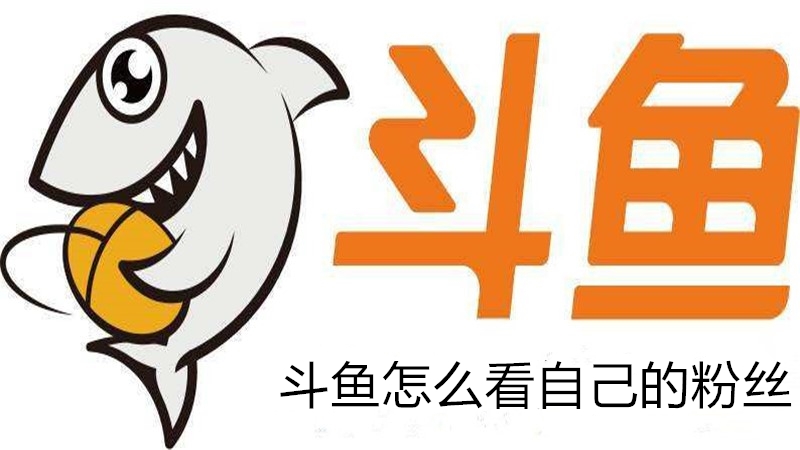 斗鱼怎么看自己的粉丝