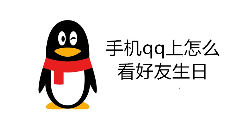 手机qq上怎么看好友生日