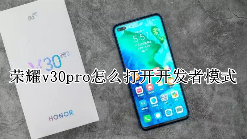 荣耀v30pro怎么打开开发者模式