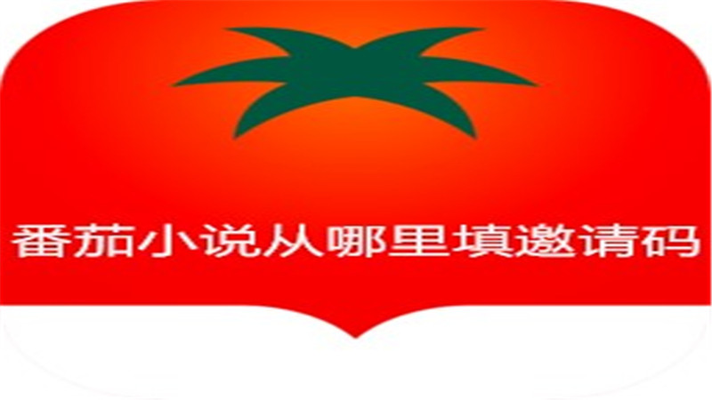 番茄小说从哪里填邀请码