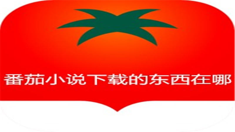 番茄小说下载的东西在哪