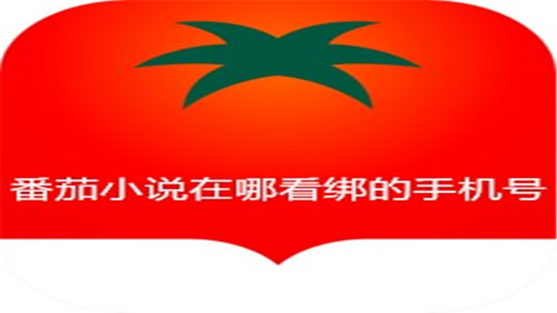 番茄小说在哪看绑的手机号