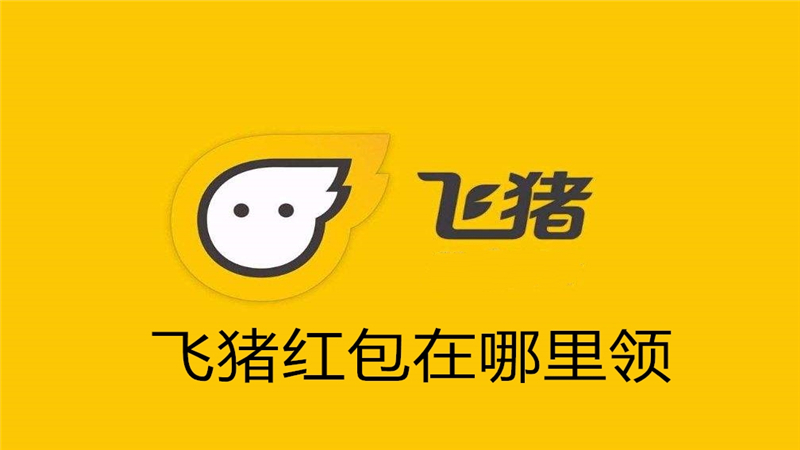 飞猪红包在哪里领